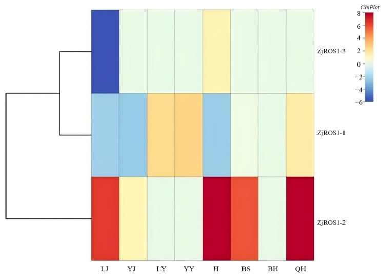 Figure 7