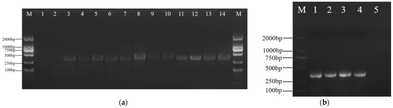 Figure 10
