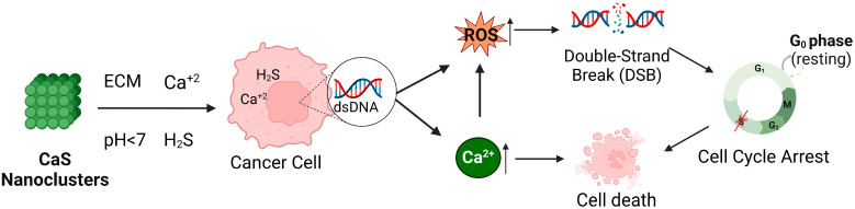 Figure 13