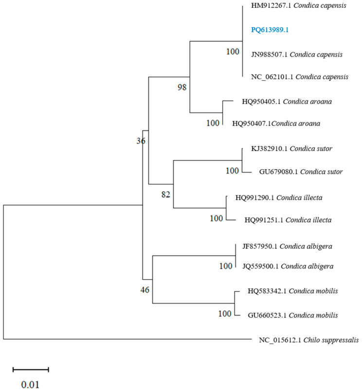 Figure 5