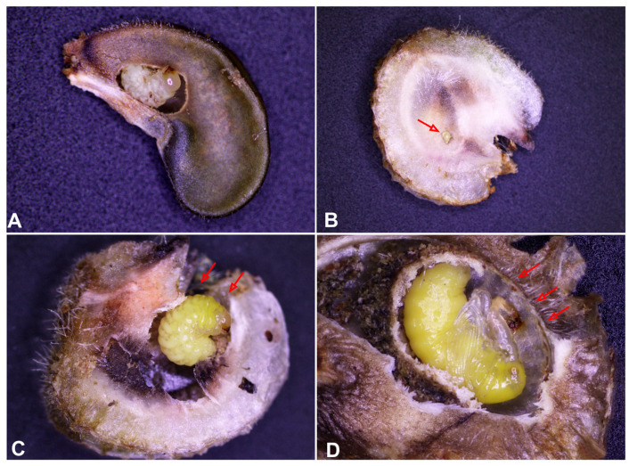 Figure 12