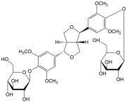 Figure 23