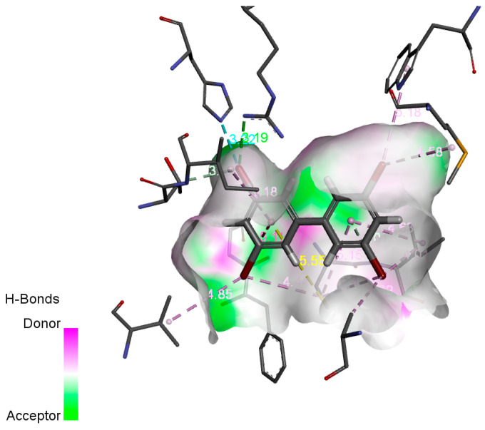 Figure 5