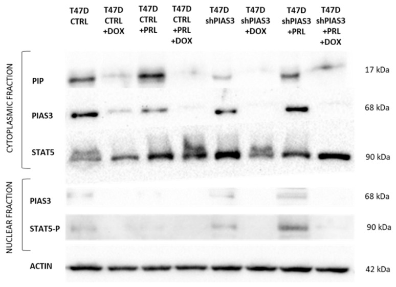 Figure 17
