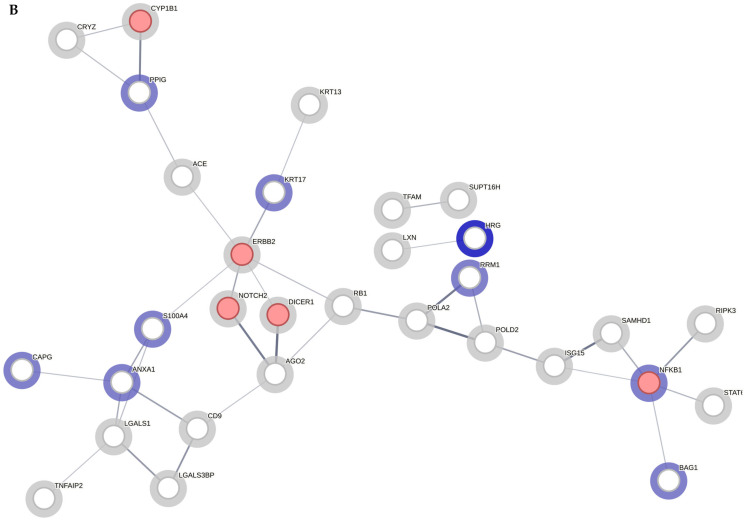 Figure 13