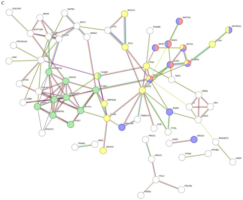 Figure 15