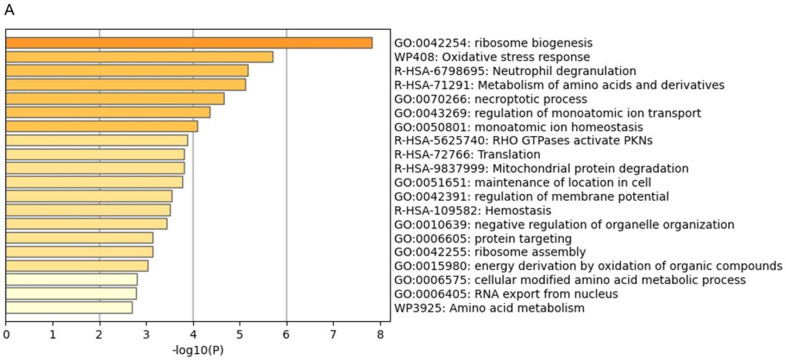 Figure 16