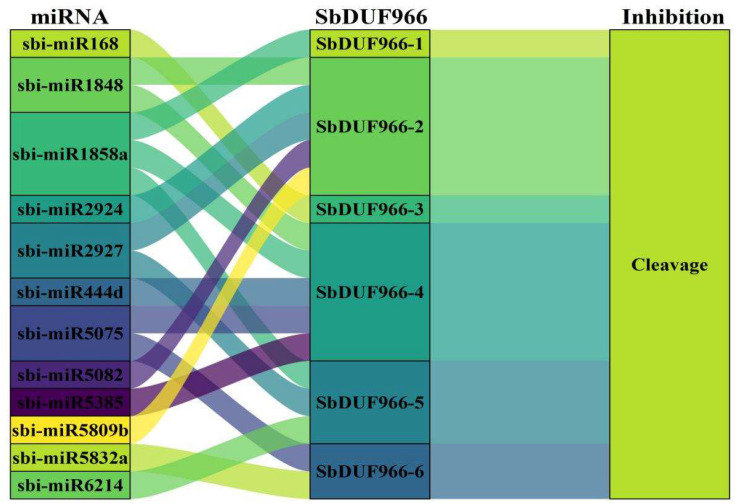 Figure 9