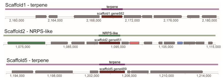Figure 6