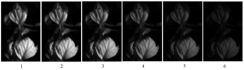 Figure 16
