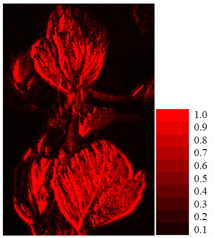 Figure 20
