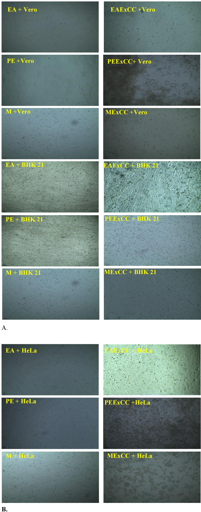 Fig 8
