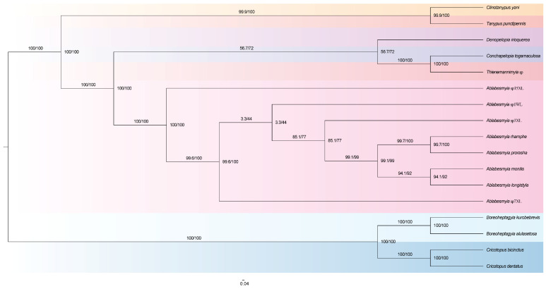 Figure 6