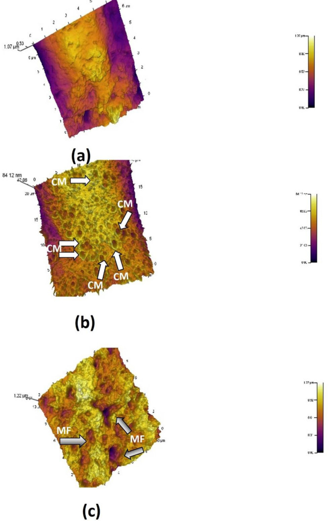 Figure 13
