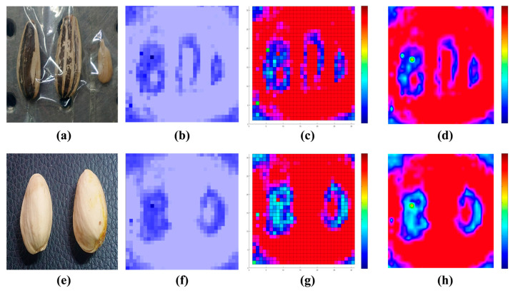 Figure 6