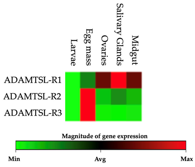 Figure 7