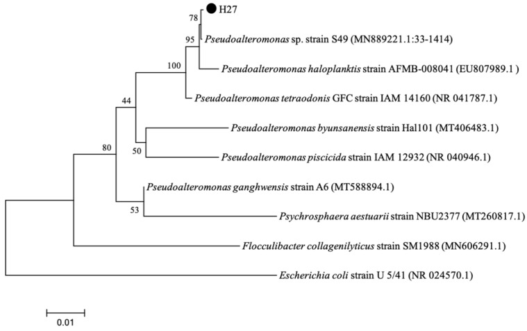 Figure 6