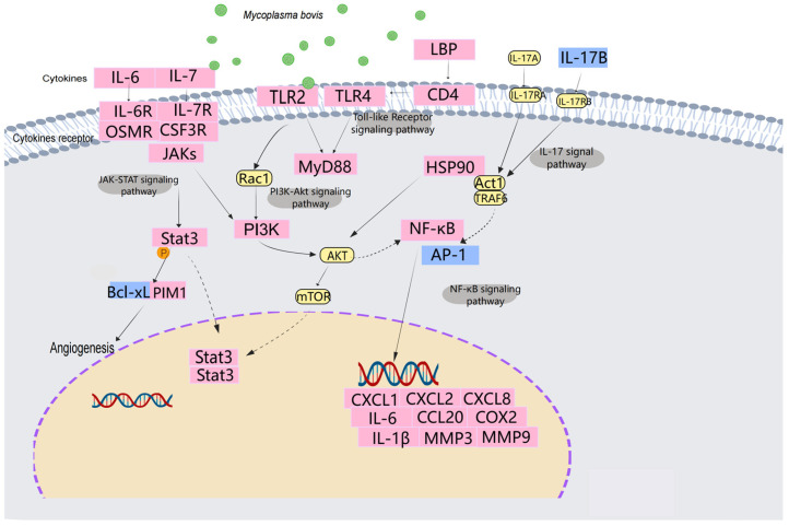Figure 10
