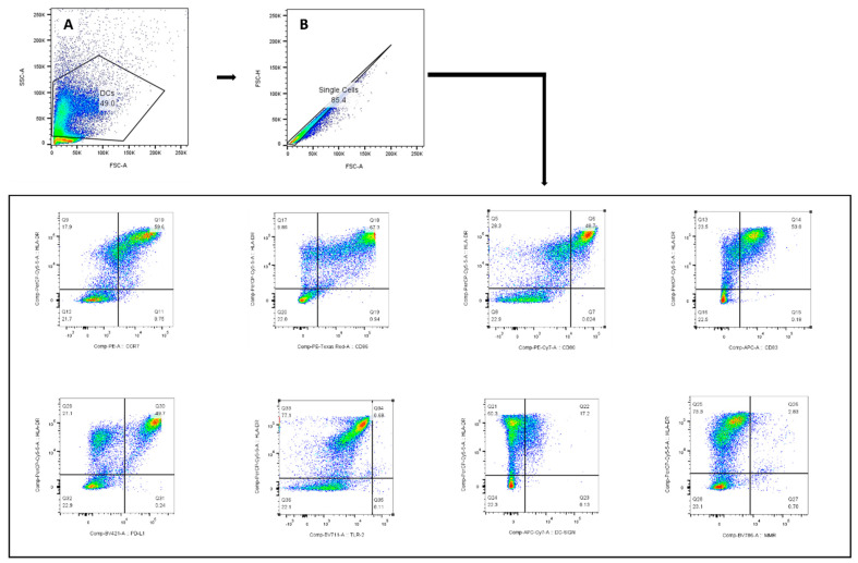 Figure 11