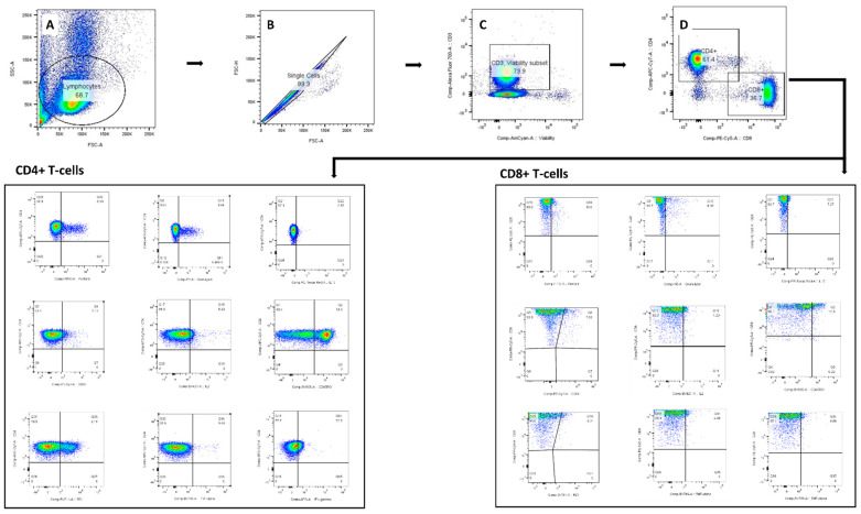 Figure 12