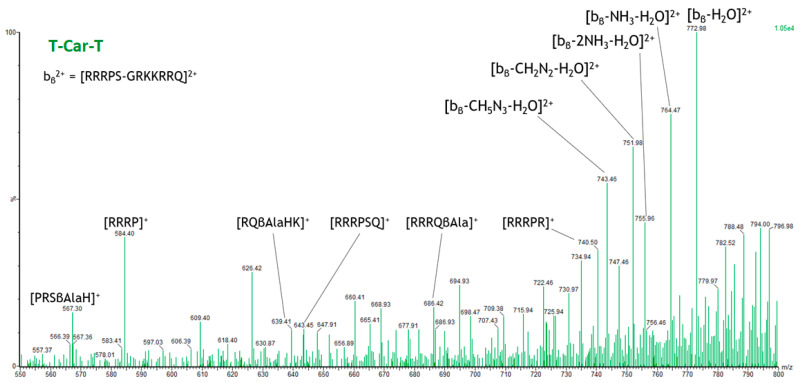 Figure 10