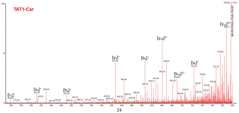 Figure 12