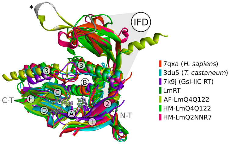Figure 6