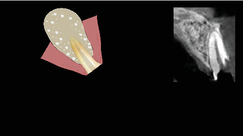 Figure 21