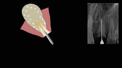 Figure 24