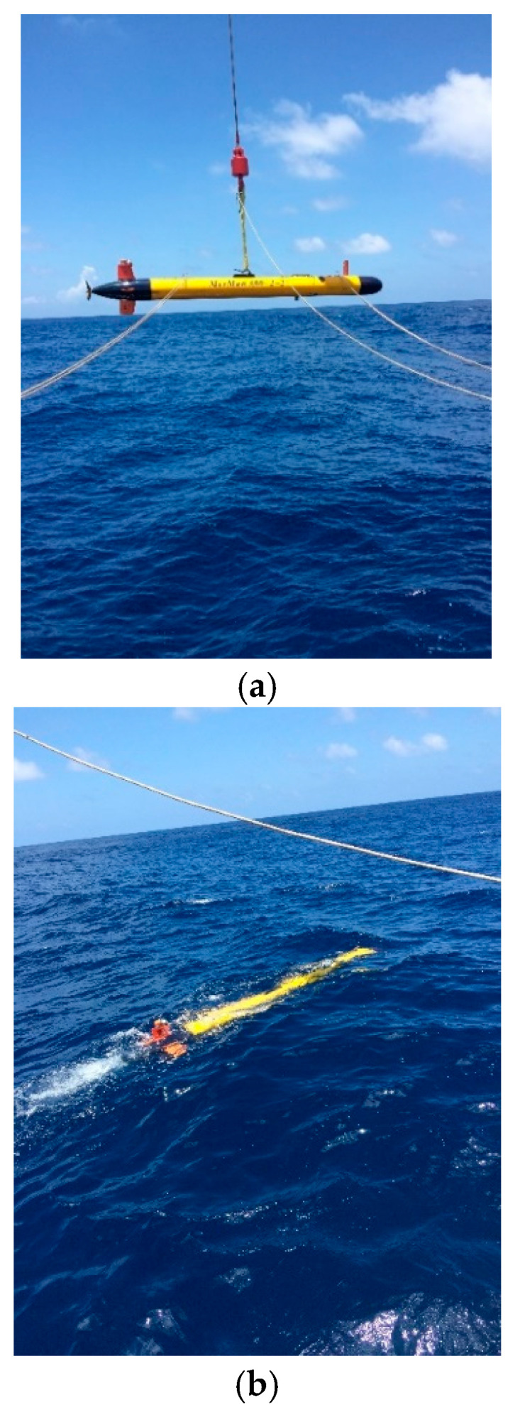 Figure 7