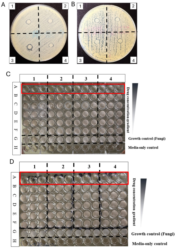 Figure 4