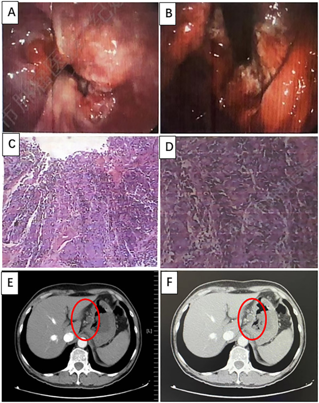 Figure 1