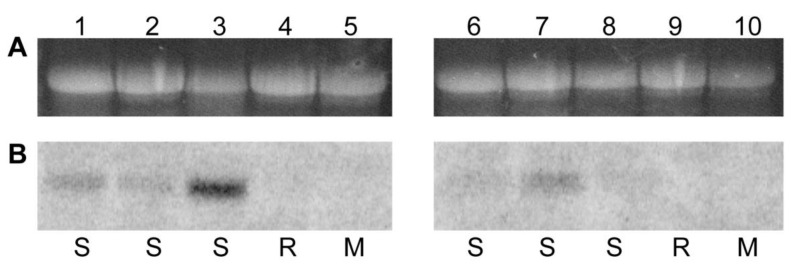 Figure 6