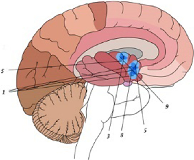 Figure 155