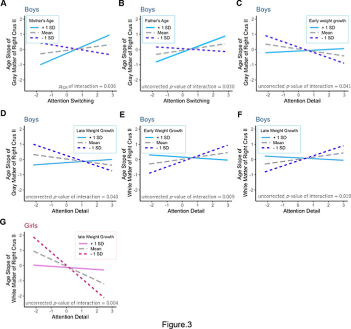 Figure 21