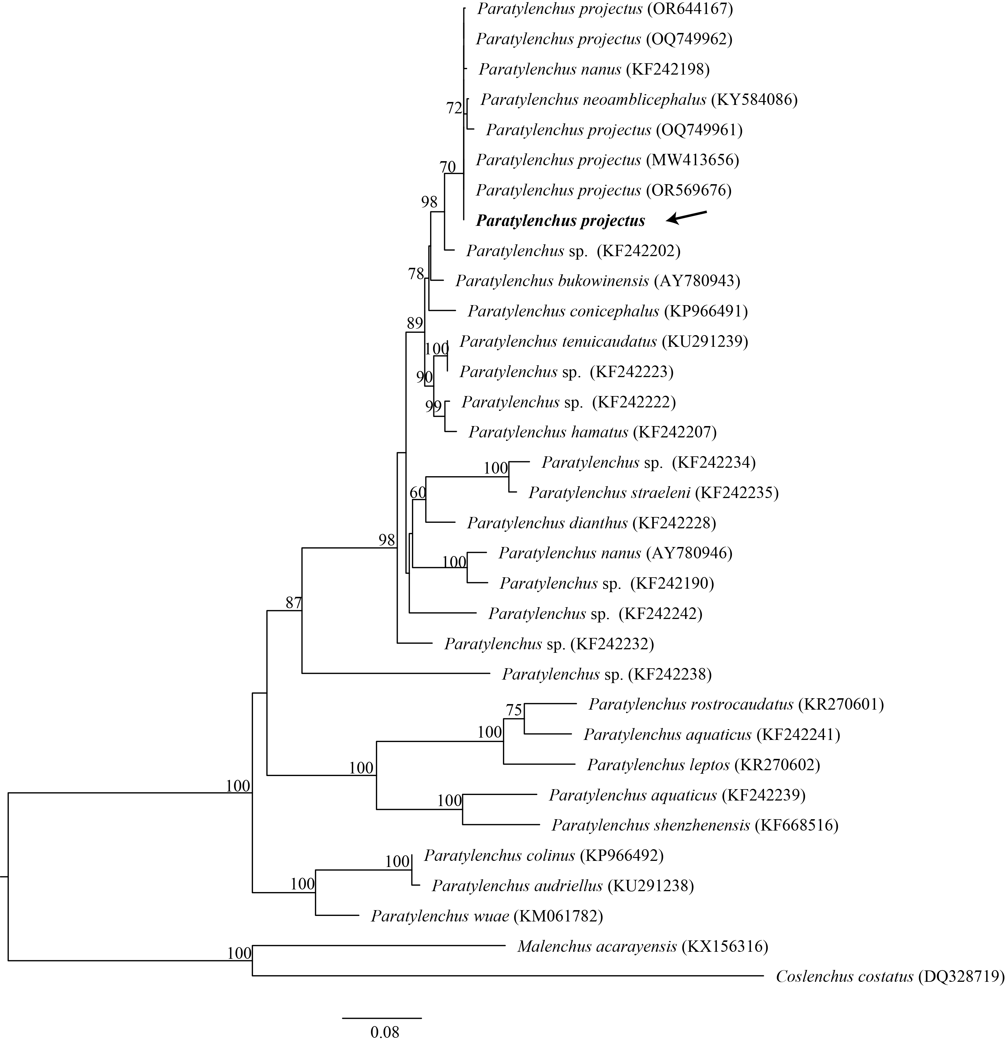 Figure 7
