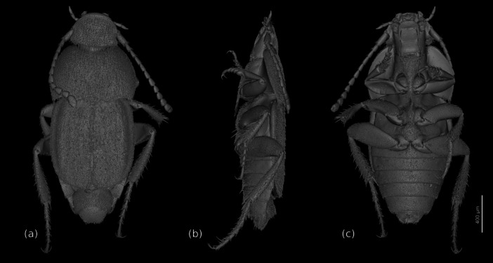 FIGURE 1