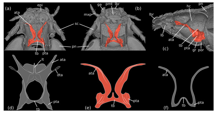 FIGURE 2