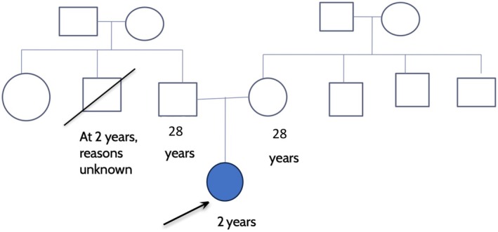 FIGURE 1