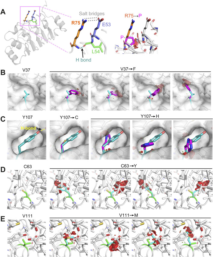 FIGURE 3