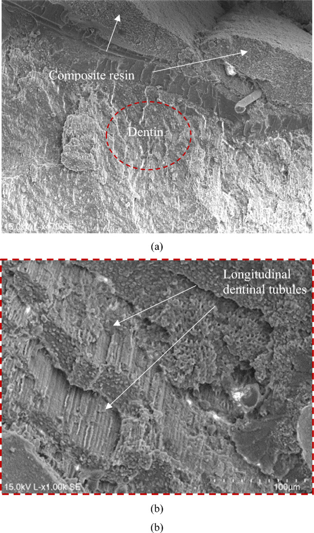 Figure 8