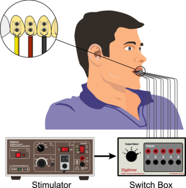 Figure 2