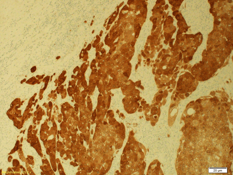 Figure 13
