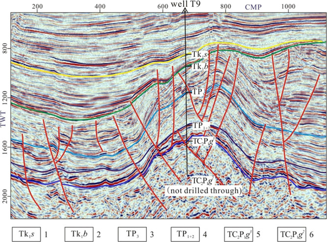 Figure 5