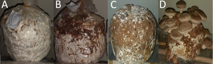 Figure 15