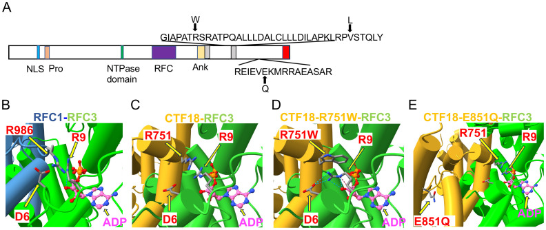 Figure 2