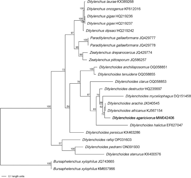 Figure 4
