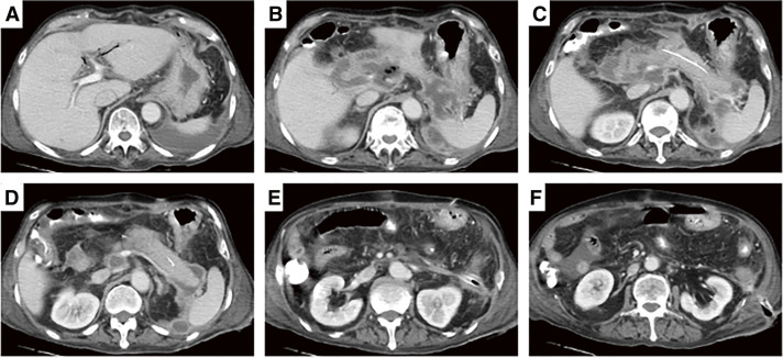 Fig. 5