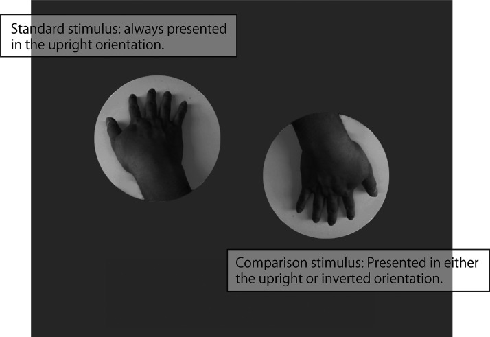Figure 2