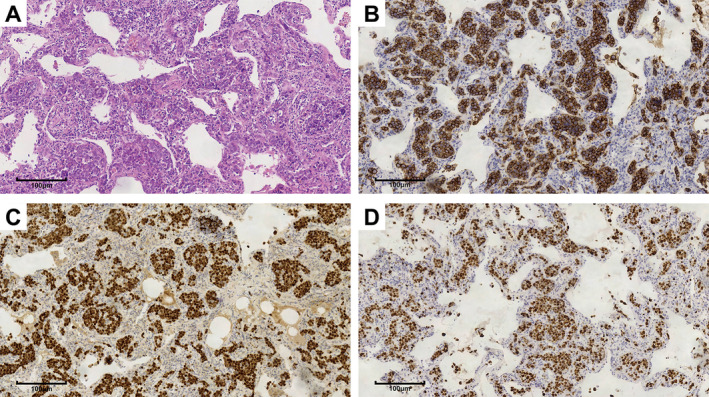 FIGURE 4